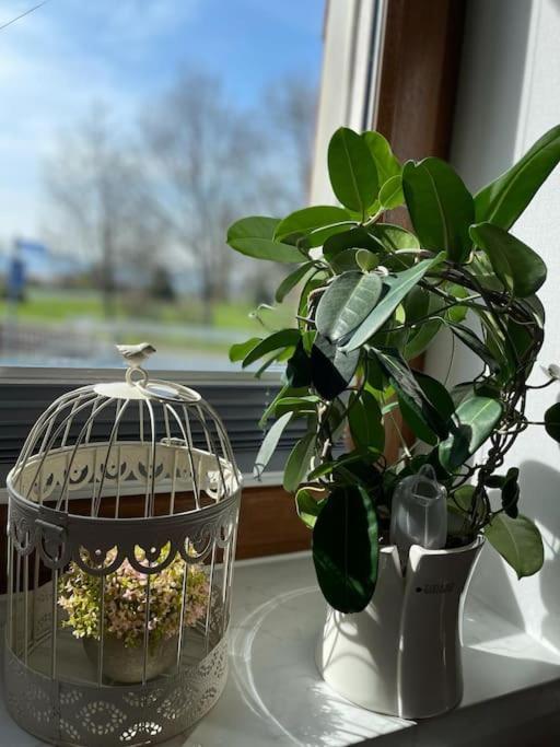 Ferienwohnung Familie Ahrend Wernigerode Exteriér fotografie